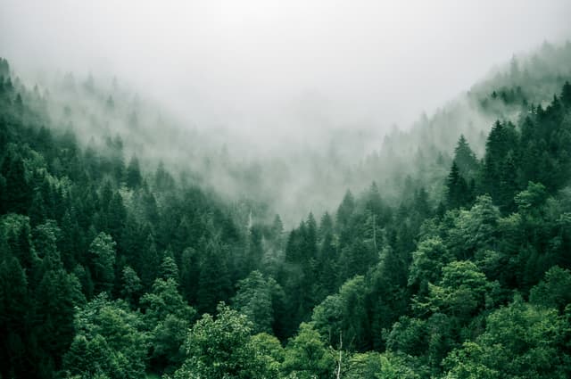 Meditation & Stille Wochenende